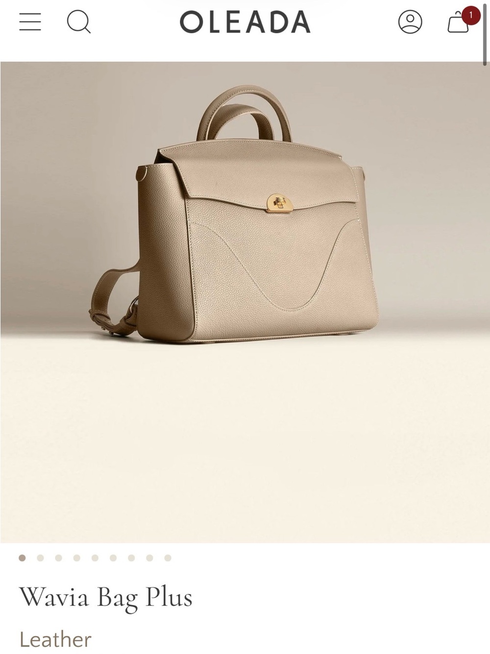 Oleada Wavia Plus (15inch) Purse Backpack Crossbody Latte